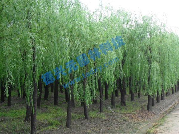 �c���鿴Ԕ����Ϣ���}������ ��x�Δ���2514