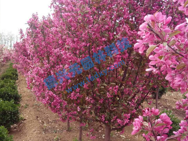�c���鿴Ԕ����Ϣ���}���k������ ��x�Δ���2344